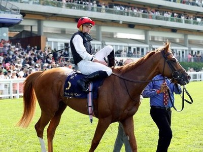 Review: Gr.1 Royal Ascot Gold Cup